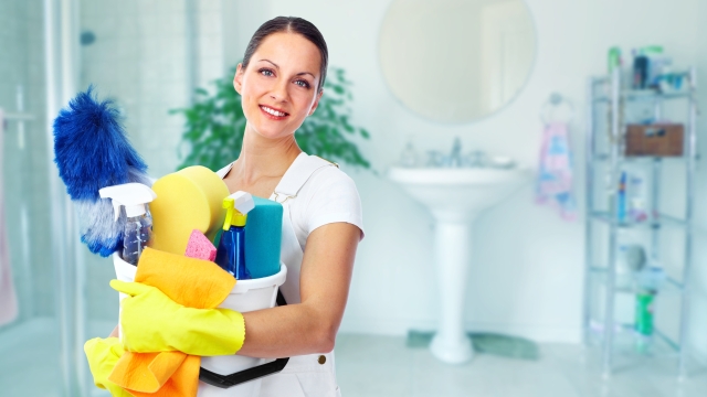 Sparkling Secrets: Mastering the Art of Domestic Cleaning