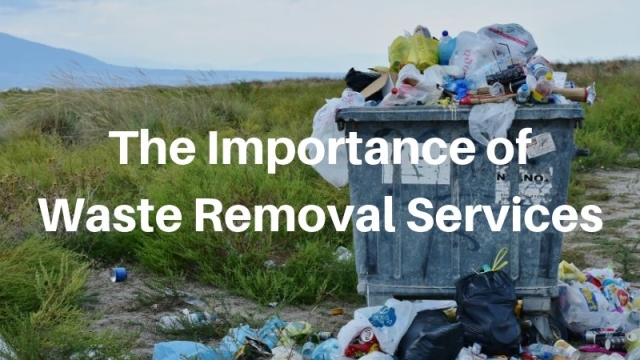 Clean Sweep: Mastering the Art of Waste Removal