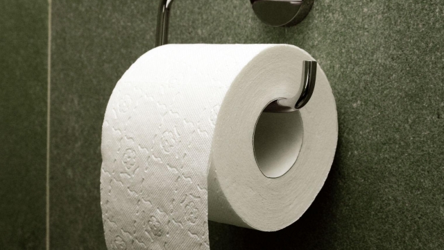 Going Beyond Basics: Unraveling the Mysteries of Toilet Paper