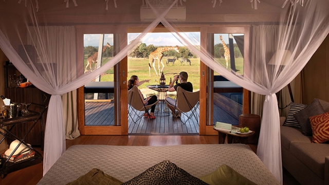 Luxury Oasis: Unveiling the Ultimate Safari Accommodation