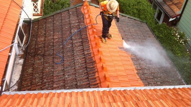 From Grime to Shine: The Essential Guide to Roof Cleaning and Fleet Washing