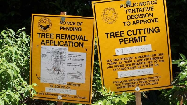 The Art of Tree Removal: Mastering the Art of Bid Farewell to Trees