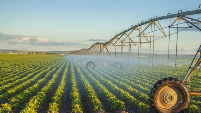 The Art and Science of Irrigation Installers: Transforming Dry Landscapes