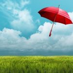 Insuring Your Business Assets: The Power of Commercial Property Insurance