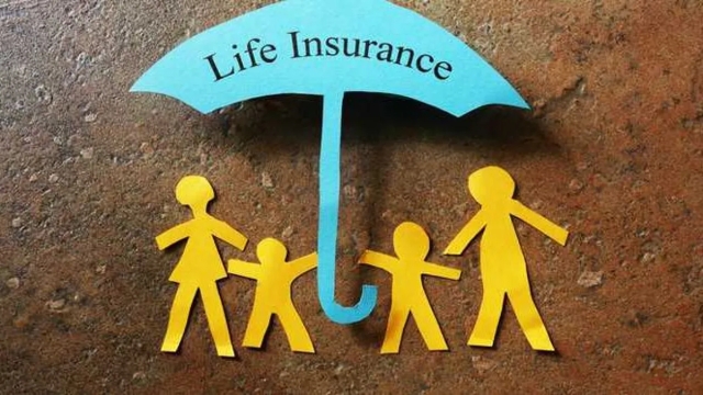 Insuring Your Future: The Ultimate Guide to Choosing an Insurance Agency