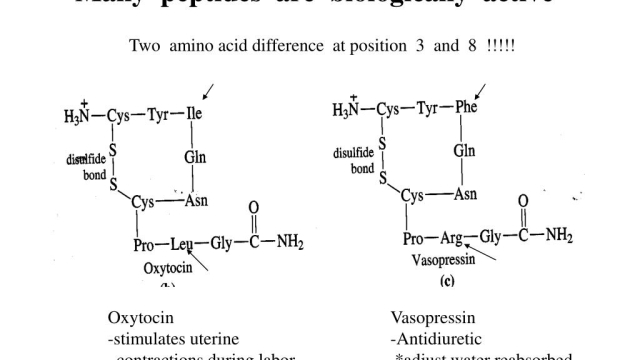 Unlocking the Power of Peptides: A Guide to Radiant Skin