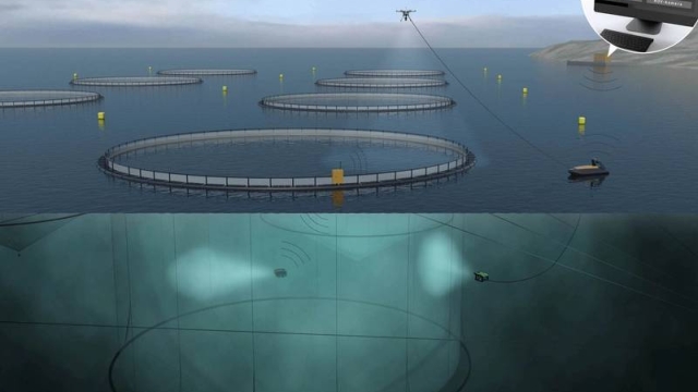 Revolutionizing Aquaculture: The Future of Sustainable Seafood with Cutting-Edge Technology