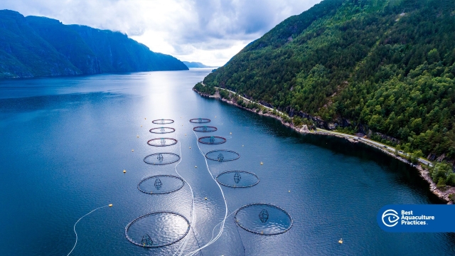 Revolutionizing Seafood: The Future of Aquaculture Technology