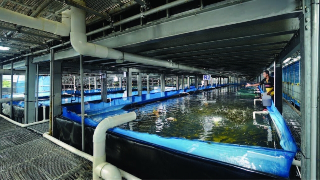 Revolutionizing the Deep: The Future of Aquaculture Technology