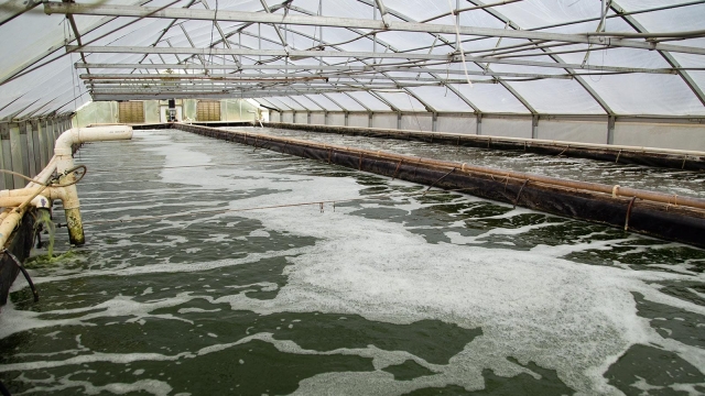 Revolutionizing the Depths: The Future of Aquaculture Technology