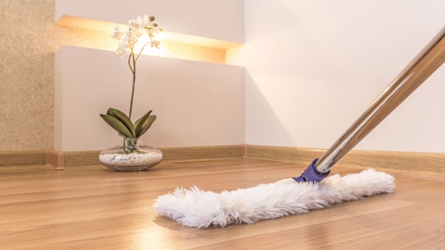 Sparkle and Shine: Transform Your Space with Professional Cleaning Services